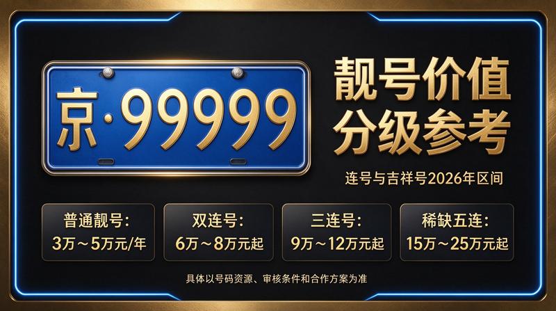 北京新能源车指标示意图